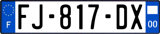 FJ-817-DX