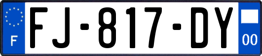 FJ-817-DY