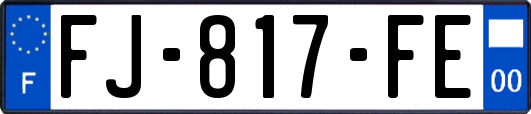 FJ-817-FE