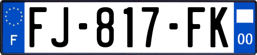 FJ-817-FK