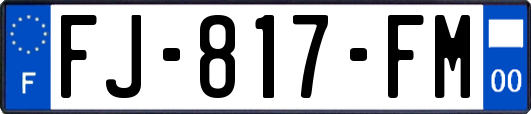 FJ-817-FM