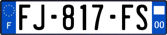 FJ-817-FS