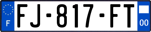 FJ-817-FT