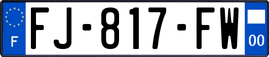 FJ-817-FW