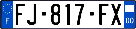 FJ-817-FX
