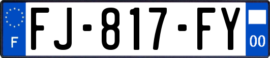 FJ-817-FY
