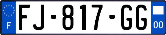 FJ-817-GG
