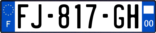 FJ-817-GH