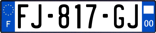 FJ-817-GJ