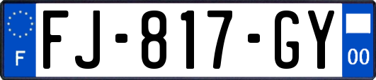 FJ-817-GY