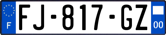 FJ-817-GZ
