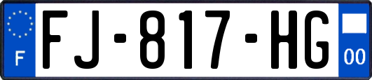 FJ-817-HG