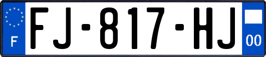 FJ-817-HJ