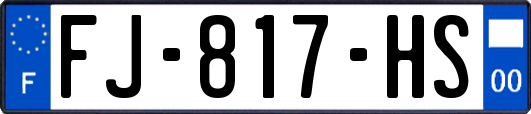 FJ-817-HS
