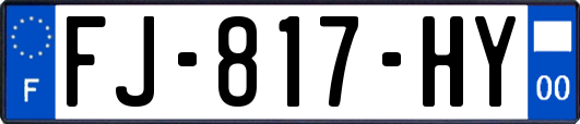 FJ-817-HY