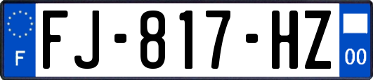 FJ-817-HZ