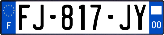 FJ-817-JY