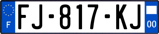 FJ-817-KJ