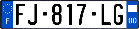 FJ-817-LG