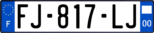 FJ-817-LJ