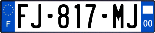 FJ-817-MJ