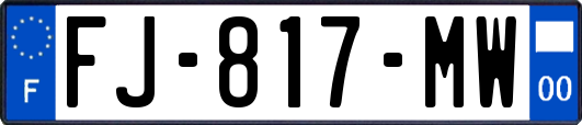 FJ-817-MW
