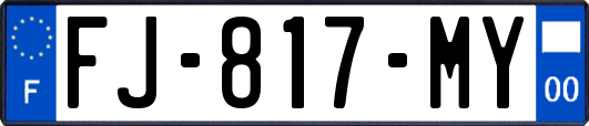 FJ-817-MY