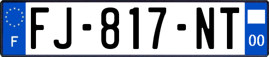 FJ-817-NT