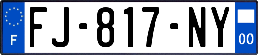 FJ-817-NY