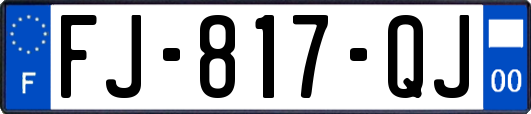 FJ-817-QJ