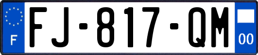 FJ-817-QM