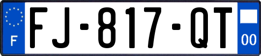FJ-817-QT