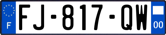 FJ-817-QW