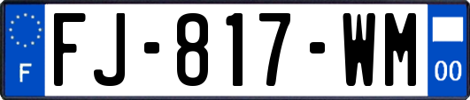 FJ-817-WM