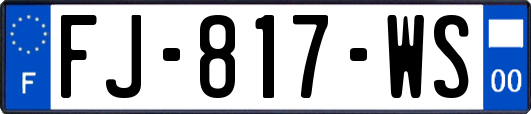 FJ-817-WS