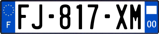 FJ-817-XM
