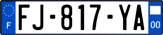 FJ-817-YA