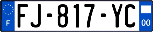 FJ-817-YC