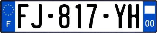 FJ-817-YH