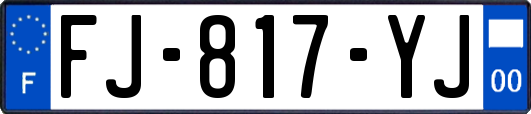 FJ-817-YJ