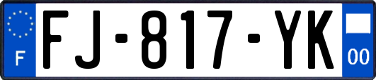 FJ-817-YK