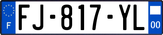 FJ-817-YL