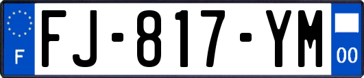 FJ-817-YM