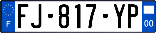 FJ-817-YP