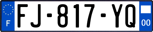 FJ-817-YQ