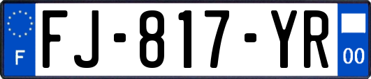 FJ-817-YR