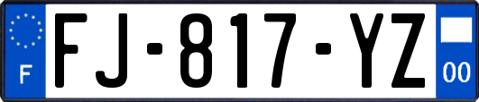 FJ-817-YZ