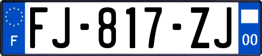 FJ-817-ZJ