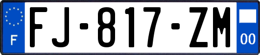 FJ-817-ZM