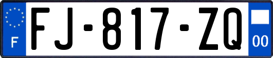 FJ-817-ZQ